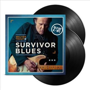 Vinyl Survivor Blues Book