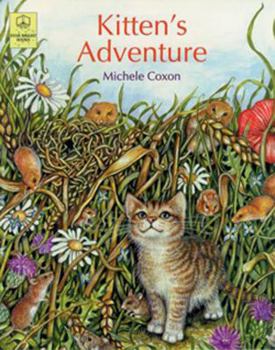 Board book Kitten's Adventure Book