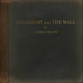 Vinyl The Ghost And The Wall Book