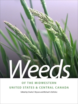 Paperback Weeds of the Midwestern United States & Central Canada Book