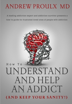 Paperback How to Understand and Help an Addict (and keep your sanity) Book