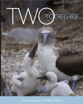 Two Together [Perfect Paperback] Evelyn Faulkner and Walter Perez [Perfect Paperback] Evelyn Faulkner and Walter Perez