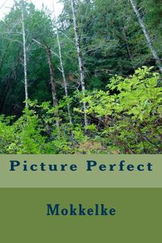 Paperback Picture Perfect Book