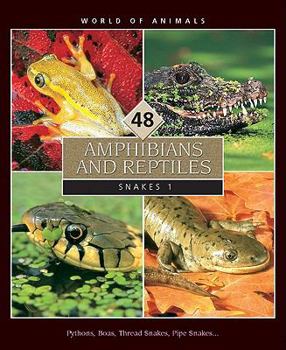 Hardcover World of Animals, Set 5: Amphibians and Reptiles Book