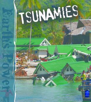 Library Binding Tsunamis Book