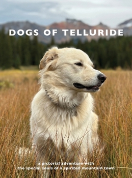 Dogs of Telluride