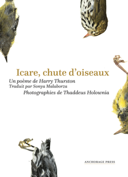 Paperback Icare, Chute d'Oiseaux [French] Book
