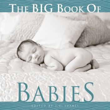 Hardcover The Big Book of Babies Book