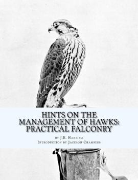 Paperback Hints on the Management of Hawks: Practical Falconry Book