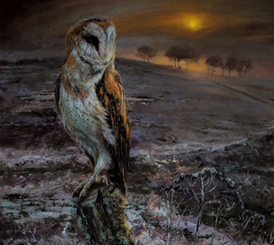 Music - CD Appointed Time Book