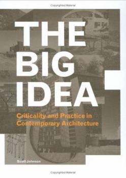Paperback The Big Idea: Criticality and Practice in Contemporary Architecture Book