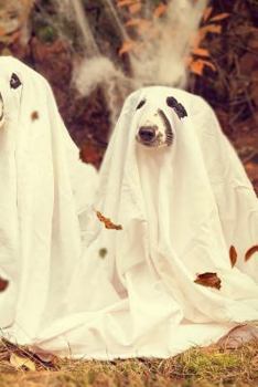 Happy Halloween Notebook