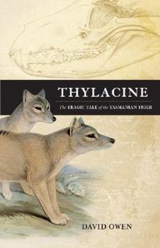 Paperback Thylacine: The Tragic Tale of the Tasmanian Tiger. David Owen Book