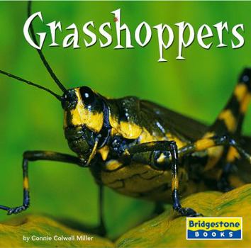 Library Binding Grasshoppers Book