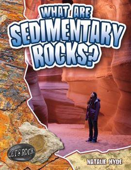 Paperback What Are Sedimentary Rocks? Book