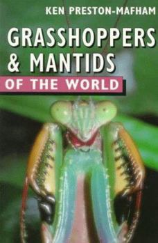 Paperback Grasshoppers & Mantids of the World Book