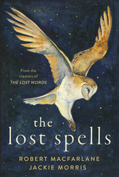 Hardcover The Lost Spells Book