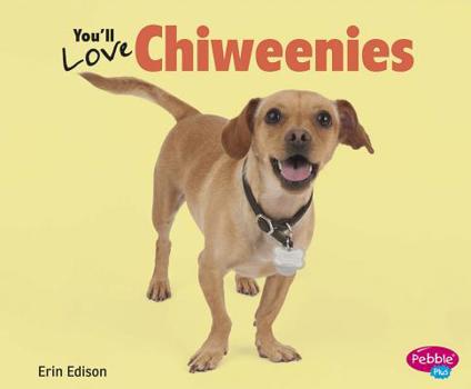 Paperback You'll Love Chiweenies Book