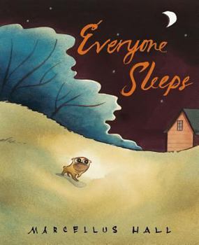 Hardcover Everyone Sleeps Book