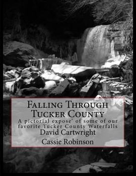 Falling Through Tucker County: A pictorial expose' some of our favorite Tucker County Waterfalls