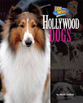 Hollywood Dogs - Book  of the Dog Heroes