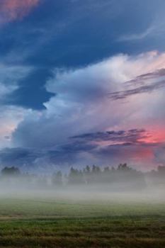 Misty Field Blank Book Lined Journal (6x9)