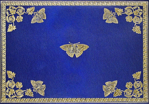 Misc. Gilded Butterflies Note Cards (14 Cards, 15 Self-Sealing Envelopes) Book