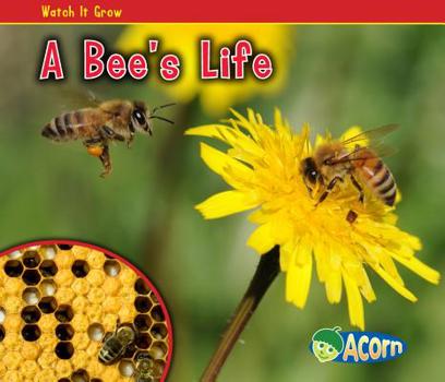 A Bee's Life - Book  of the Watch it Grow