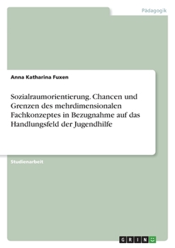 Paperback Sozialraumorientierung. Chancen und Grenzen des mehrdimensionalen Fachkonzeptes in Bezugnahme auf das Handlungsfeld der Jugendhilfe [German] Book