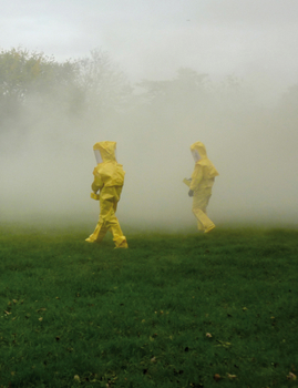 Paperback Critical Art Ensemble: Disturbances Book