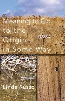 Paperback Meaning to Go to the Origin in Some Way Book