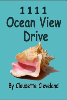 Paperback 1111 Ocean View Drive Book
