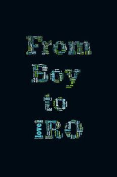 Paperback From Boy to IRO Book
