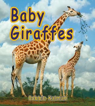 Hardcover Baby Giraffes Book