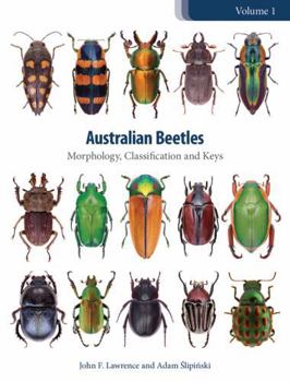 Hardcover Australian Beetles [Op]: Morphology, Classification and Keys Book