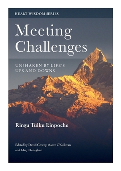 Paperback Meeting Challenges: Unshaken by Life's Ups and Downs Book