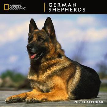 Calendar Cal 2020-National Geographic German Shepherds Wall Book