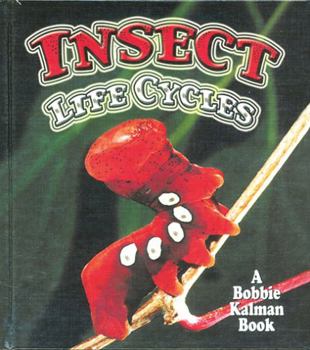 Hardcover Insect Life Cycles Book