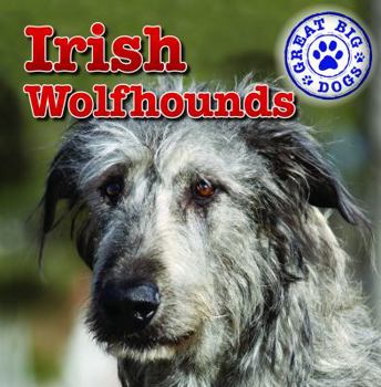 Irish Wolfhounds - Book  of the Great Big Dogs