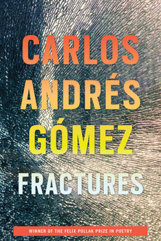 Paperback Fractures Book