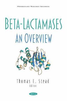 Paperback Beta-lactamases: An Overview Book