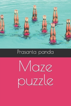 Maze puzzle