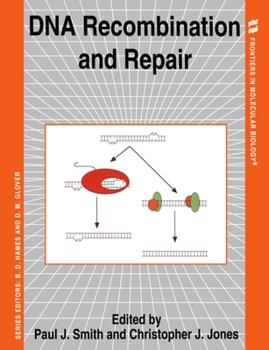 Paperback DNA Recombination and Repair Book