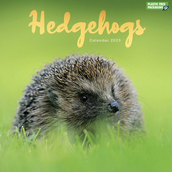Calendar 2023 Hedgehogs Wall Calendar Book