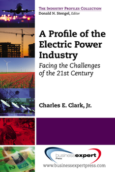 Paperback A Profile of the Electric Power Industry: Facing the Challenges of the 21st Century Book