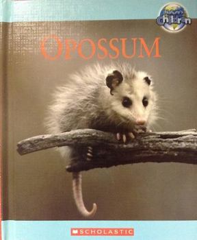 Hardcover Opossum Book