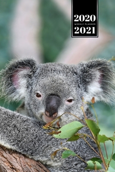 Koala Bear Rainforest Week Planner Weekly Organizer Calendar 2020 / 2021 - Tired Eyes: Cute Wildlife Animal Pet Bullet Journal Notebook Diary in 6” x 9” Inch Pocket Size