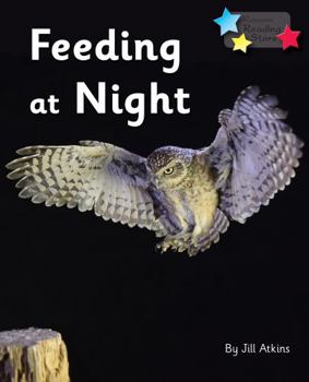 Paperback Feeding at Night Book