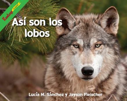 Paperback Asi son los Lobos / These Are Wolves (El Poder De 100 - Animales Depredadores (Power 100 - Predator Animals)) (Spanish Edition) [Spanish] Book