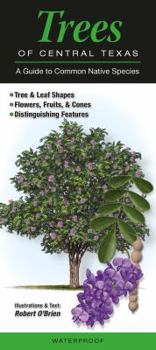 Pamphlet Trees of Central Texas: A Guide to Common Native Species Book